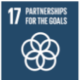 Partnership for Goals - SDG 17